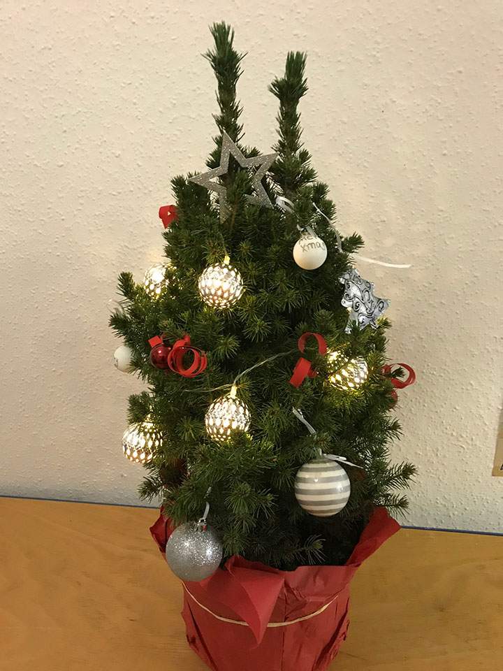 Weihnachtsbaum